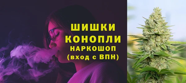 гашик Медвежьегорск