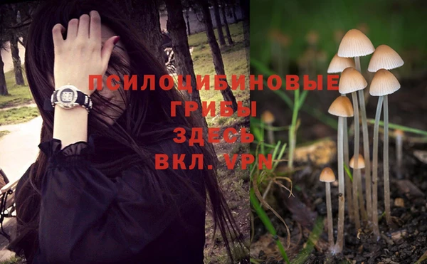 гашик Медвежьегорск
