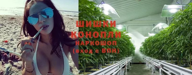 Конопля White Widow  Калининск 